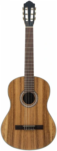 FLIGHT C-110 AC 4/4 dPACK 1 - Гитара классическая (набор) 4/4 фото 2