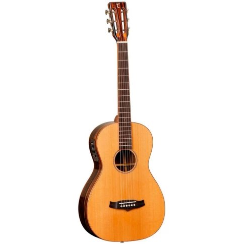 Электроакустическая гитара TANGLEWOOD TWJP E фото 1