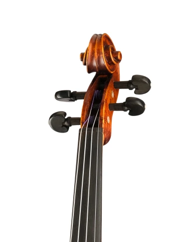 P-V044-OB Proffesional Gama OPB Birds Eye Скрипка 4/4, Gliga фото 2