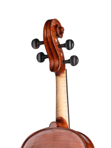 AW-V044 Workshop Gems 1 Скрипка 4/4, Gliga фото 6