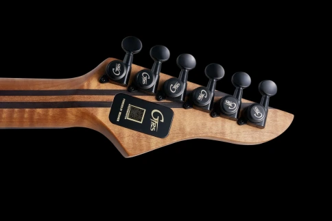 Электрогитара с процессором эффектов GTRS M810-PUBT Modern фото 6