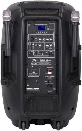 PEAVEY PBK 15FM 100W активный комплект фото 2