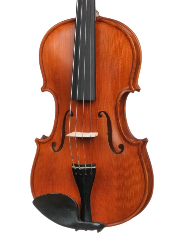 AW-V044-OB Workshop Gems 1 OPB Birds Eye Скрипка 4/4, Gliga фото 2