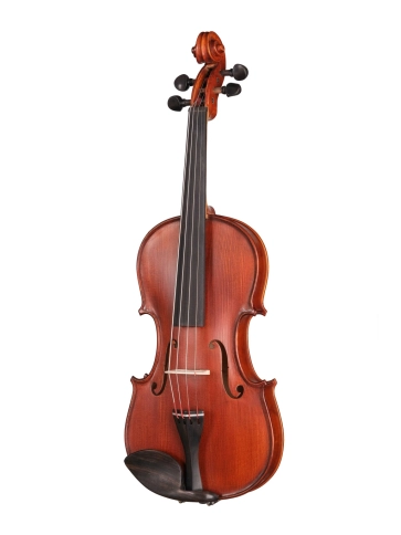 I-V044-B Intermediate Gems 2 Birds Eye Скрипка 4/4, Gliga фото 1