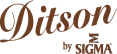 Diston Guitars