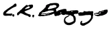Lr Baggs