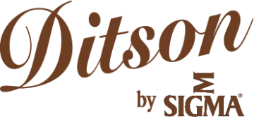 Diston Guitars