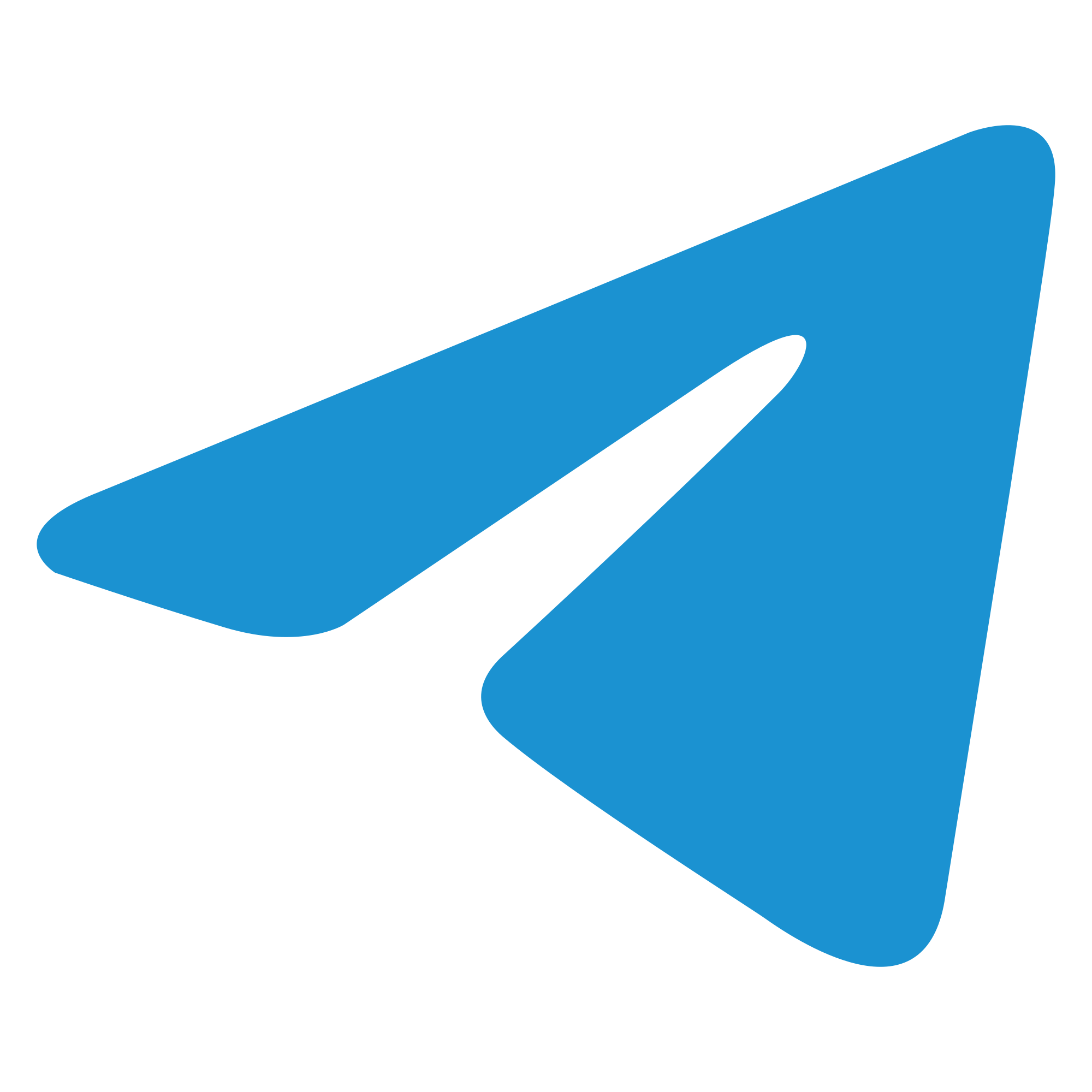 telegram-logo-minimalistic-d66e (1)
